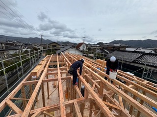 IMG_0789.jpeg