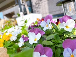 IMG_1400.jpeg