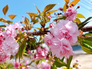 IMG_1404.jpeg