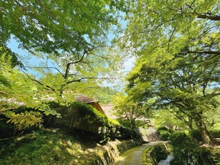 IMG_2224.jpeg