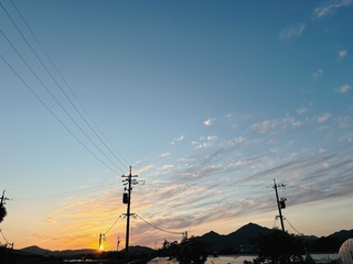 IMG_7791.jpeg