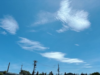 IMG_8512.jpeg