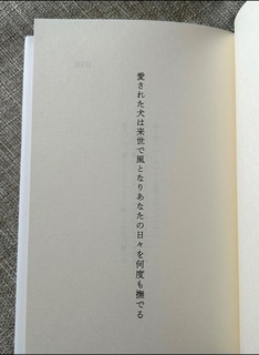 IMG_9339.jpeg