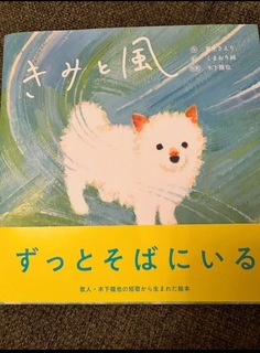 IMG_9340.jpeg