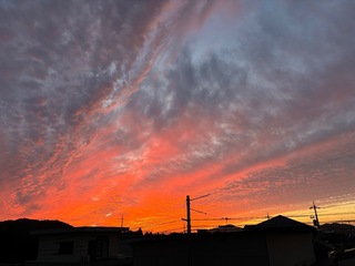 IMG_9467.jpeg